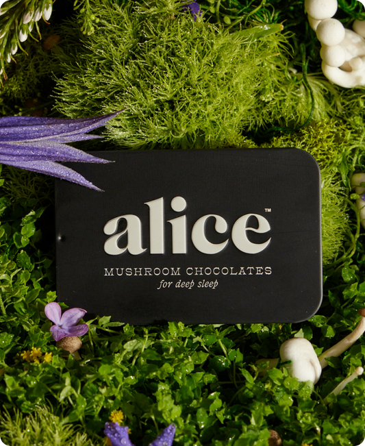 Nightcap Mushroom Chocolate by Alice