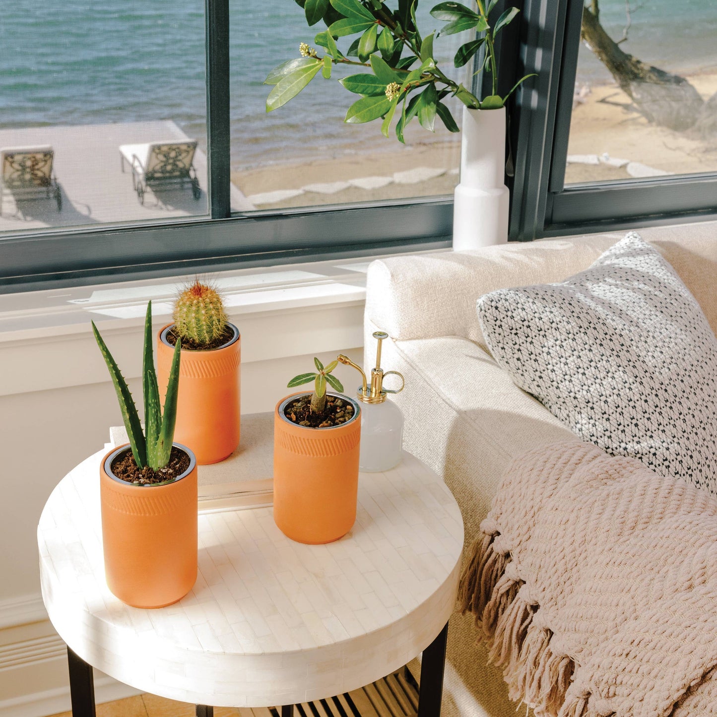 Grow Kits by Modern Sprout
