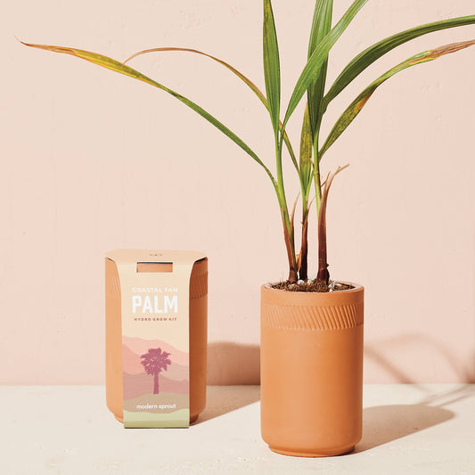 Grow Kits by Modern Sprout