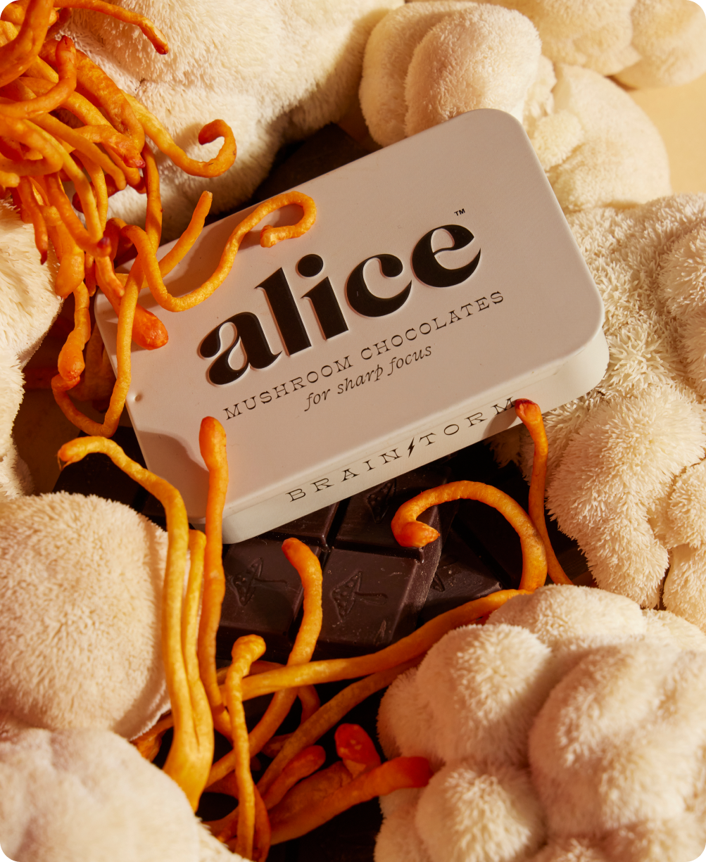 Brainstorm Mushroom Chocolate By Alice