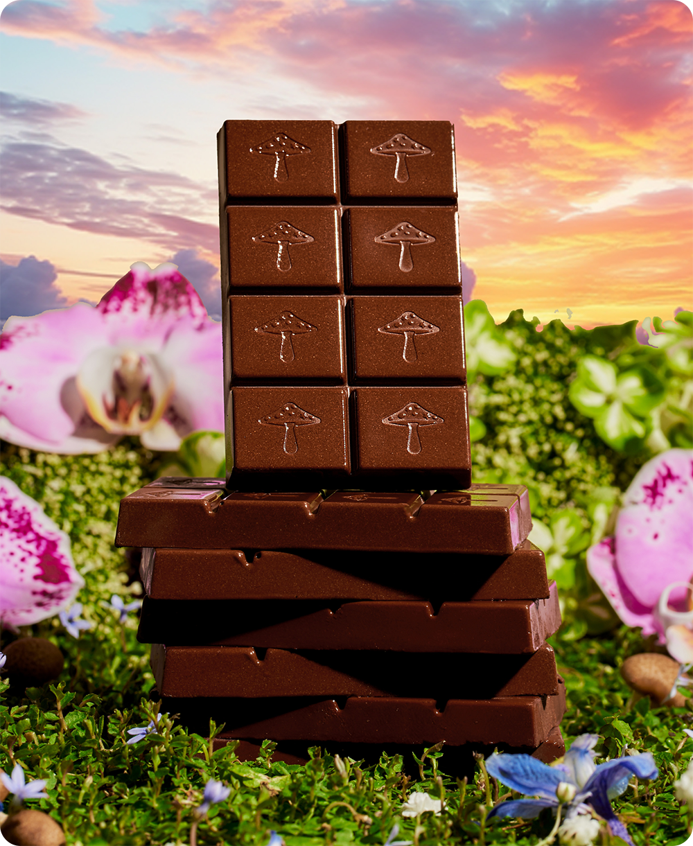 Happy Ending Mushroom Chocolate by Alice