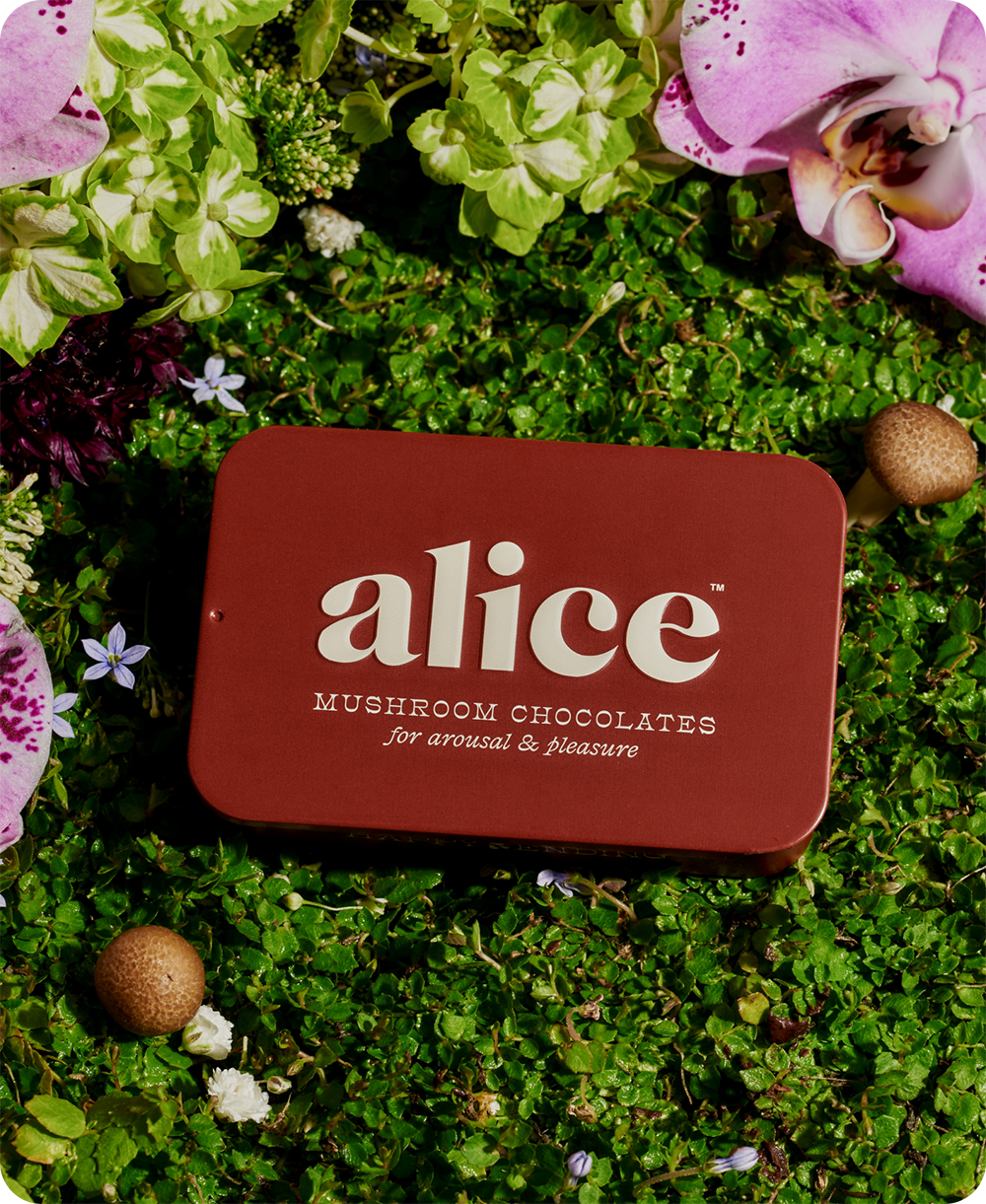 Happy Ending Mushroom Chocolate by Alice