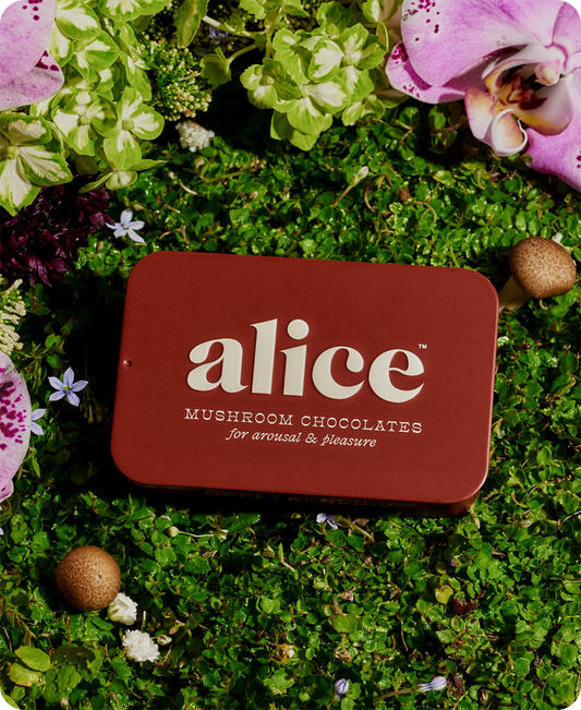 Happy Ending Mushroom Chocolate by Alice