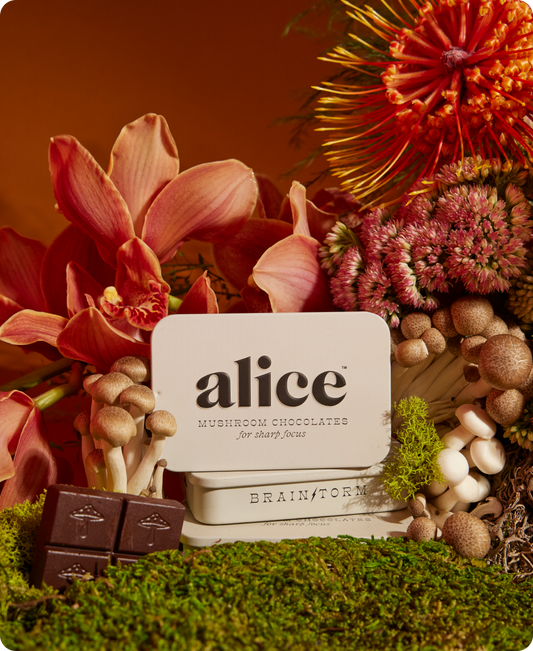 Brainstorm Mushroom Chocolate By Alice