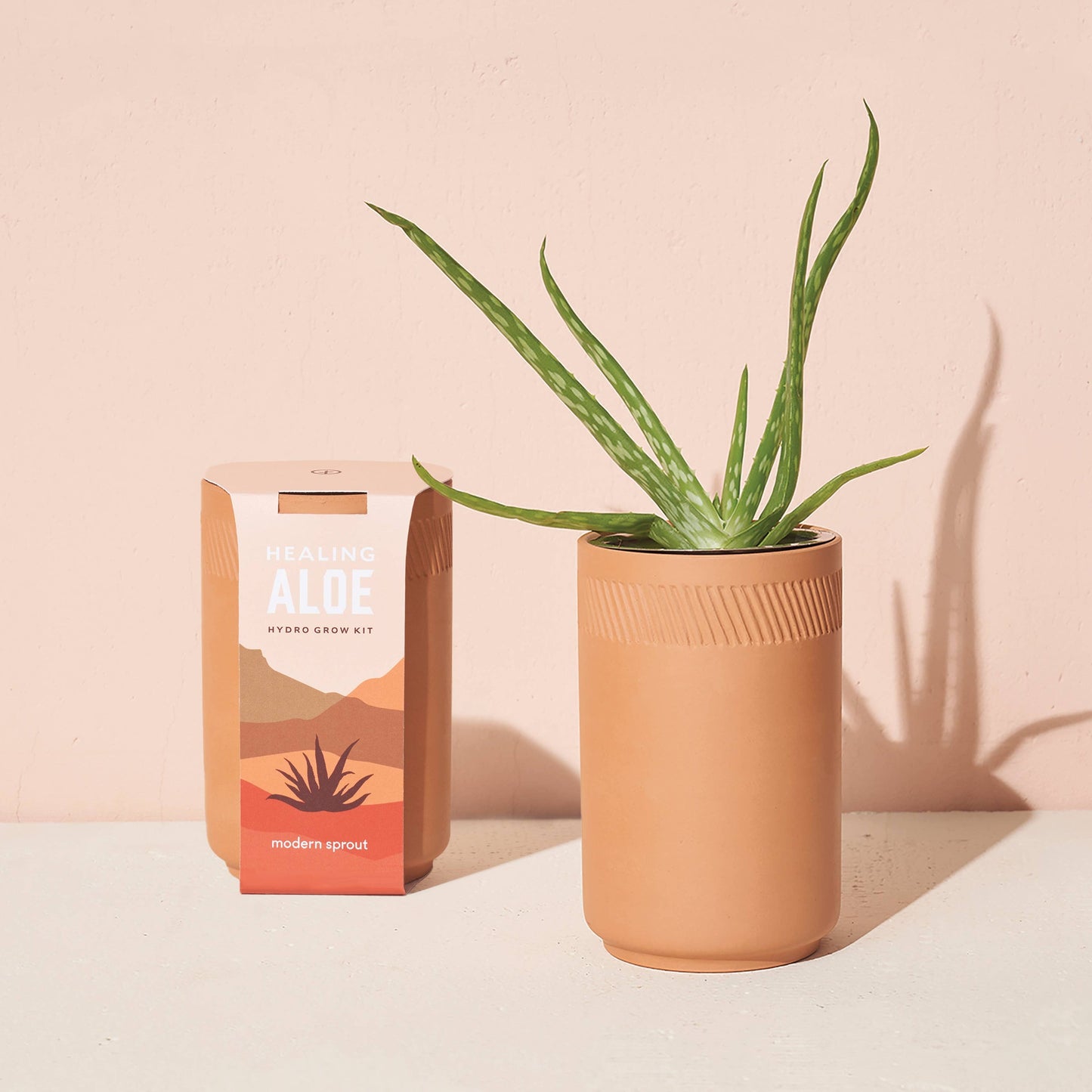 Grow Kits by Modern Sprout