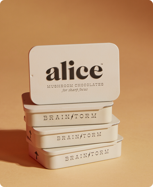 Brainstorm Mushroom Chocolate By Alice
