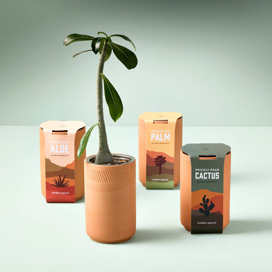 Grow Kits by Modern Sprout