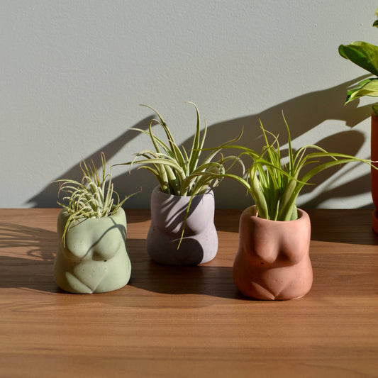 Mini Boobie Pot Airplant Holder by LindaMakess