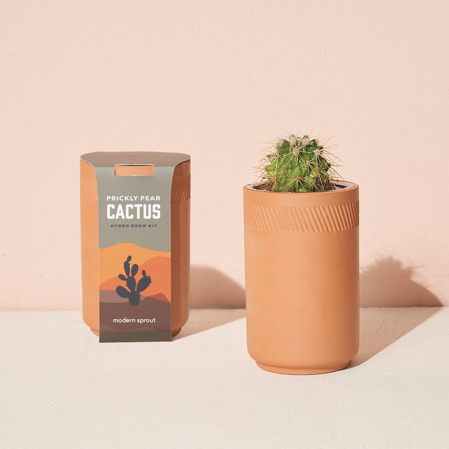 Grow Kits by Modern Sprout